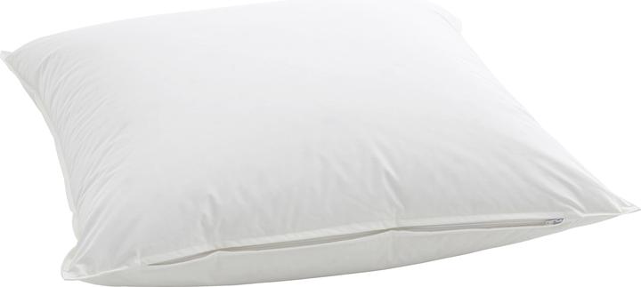 Actual product image Billerbeck Casa Nature (65 x 65 cm)