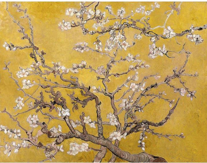 Image du produit Trenddeko van Gogh - Ocre de la fleur d'amandier (144 x 260 cm)