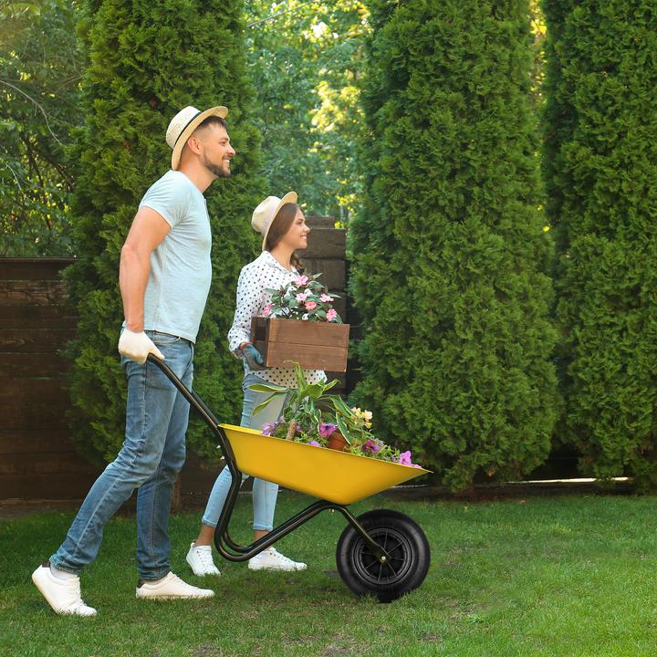 Image du produit Relaxdays 2x roue de brouette