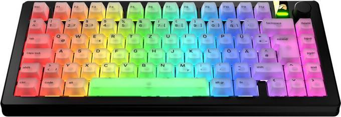 Immagine prodotto Glorious Tastiere Polychroma V2, layout ANSI (DE), policarbonato, stampa UV - trasparente