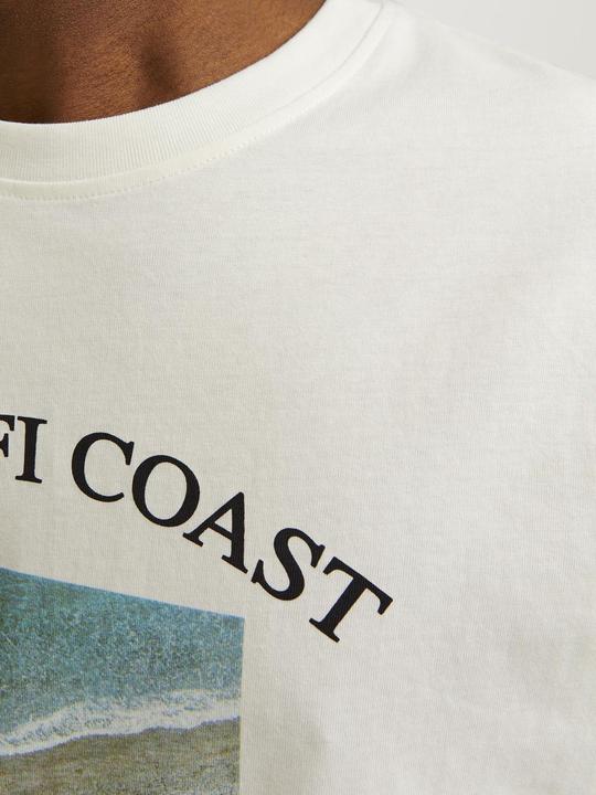 Immagine prodotto Jack & Jones T-shirt stampata con scollo rotondo (M)