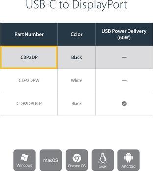 Actual product image StarTech Display Port Adapter USB-C (DP, 18 cm)