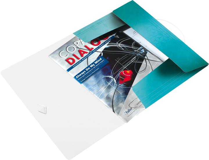 Actual product image Leitz WOW folder (A4, 1 x)