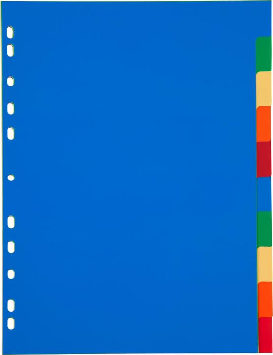 Image du produit Idena Répertoire en plastique A4 10 pièces 120µ