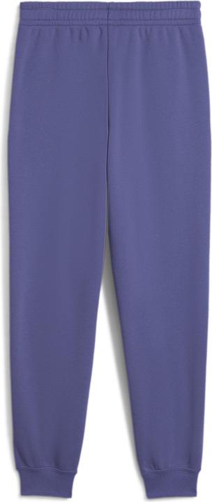 Image du produit Puma ESS 2 COLOR No. 1 Logo Sweatpants FL B (164)