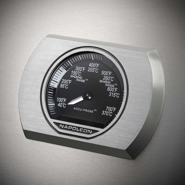Actual product image Napoleon Rogue XT 365 (13.50 kW)