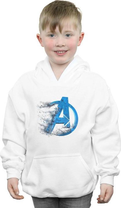 Actual product image Boys Avengers Endgame Dusted Logo Hoodie (116)