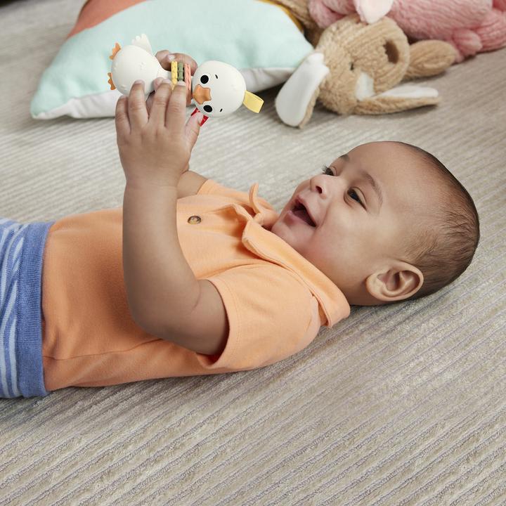 Actual product image Fisher-Price Toy collection for babies with animal motifs, teething ring, rattle and clacker toy for newborns