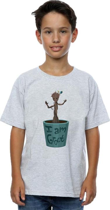 Immagine prodotto Guardians Of The Galaxy Groot Flower Pot Maglietta Ragazzi (152, 158)