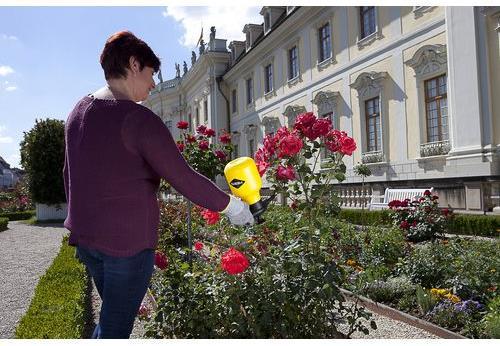 Actual product image Mesto Pressure sprayer BUGSI (1.50 l)