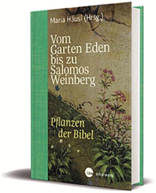 Sachbücher
