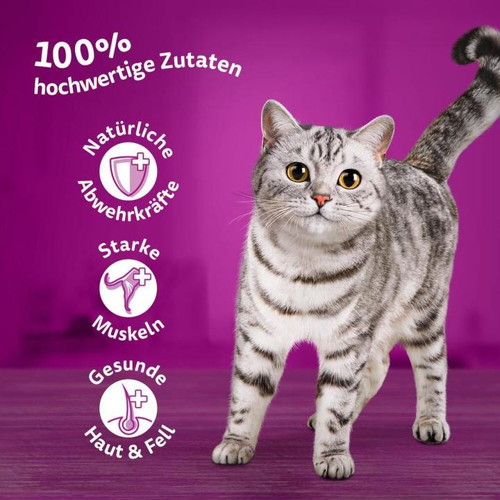 Actual product image Whiskas Freshness bag (Adult, 12 pcs., 1020 g)