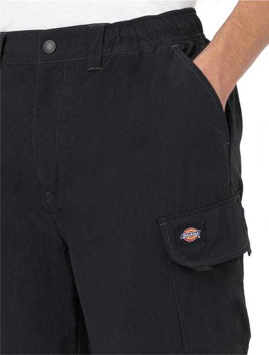 Actual product image Dickies Jackson Cargo Shorts (S, L)