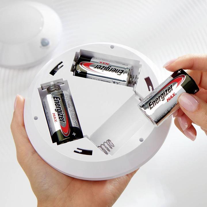 Actual product image Energizer Max Alkaline (2 pcs., D)