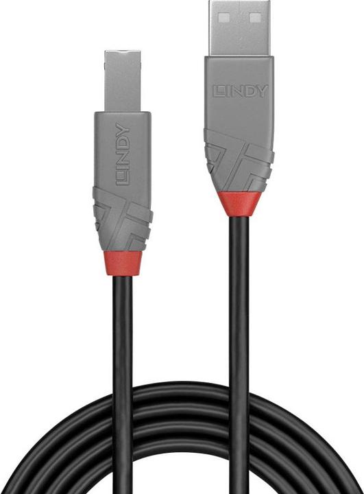 Produktbild Lindy USB A — USB B (3 m, USB 2.0)