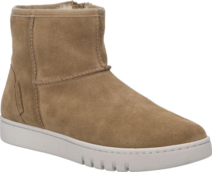 Camel