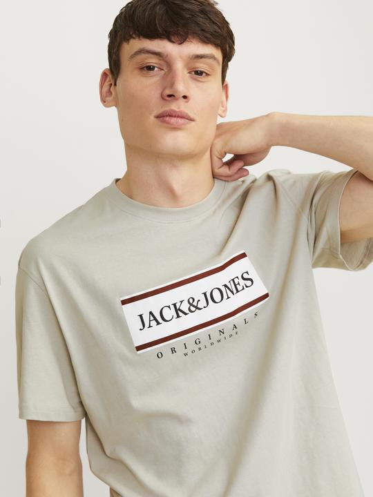 Actual product image Jack & Jones Jorfrederiksberg Box Tee Ss C.N Sn (M)