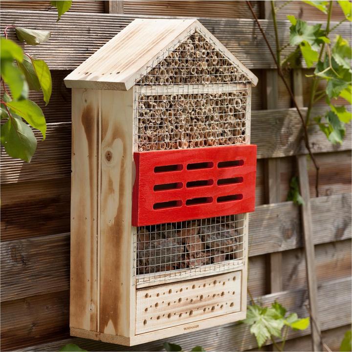 Produktbild Windhager 5 Sterne (Ohrwürmer, Florfliegen, Hummeln, Wildbienen, Marienkäfer)