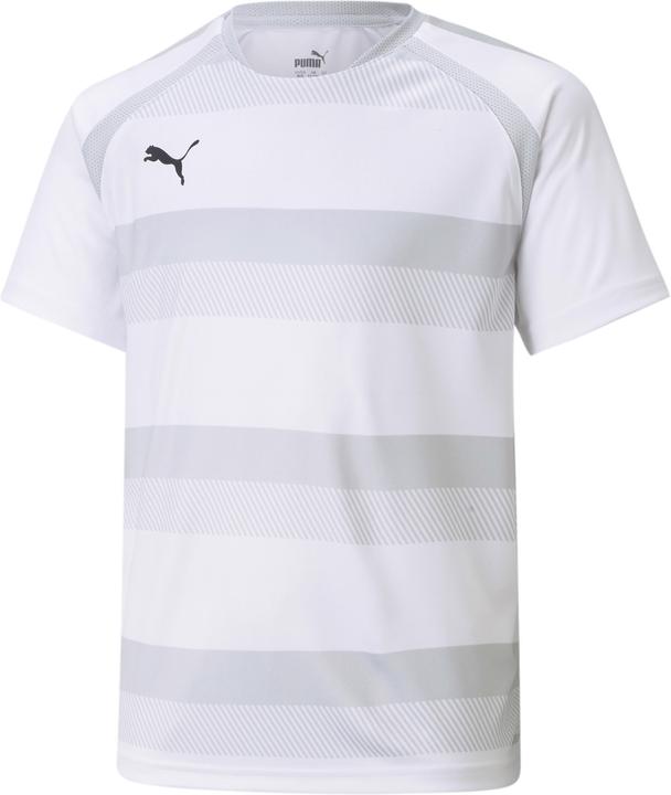 Image du produit Puma Maillot teamVISION Jr-704928 (116)