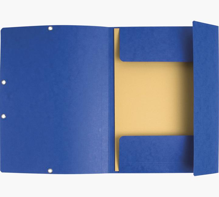 Produktbild Exacompta Sammelmappe mit Gummizug (A4, 3 x)