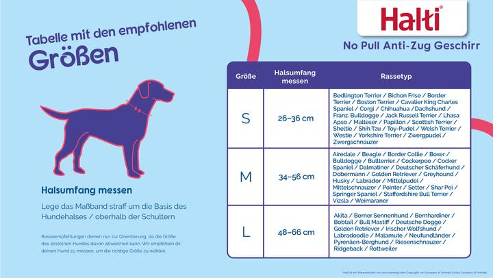 Immagine prodotto Company of Animals Imbracatura Halti No Pull Anti-pull M (M, Cane, Generale)