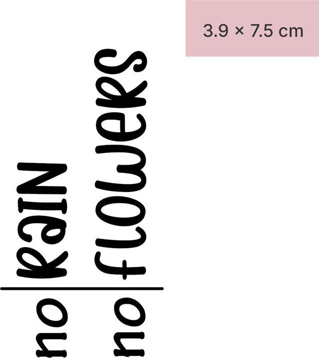 Image du produit minink Tatouage temporaire - no rain no flowers