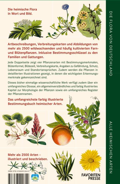 Immagine prodotto Die Flora von Deutschland. Alle heimischen Arten. (Tedesco, Oliver Tackenberg, 2022)