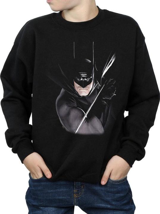 Actual product image Boys Batman By Alex Ross Sweatshirt (140, 146)
