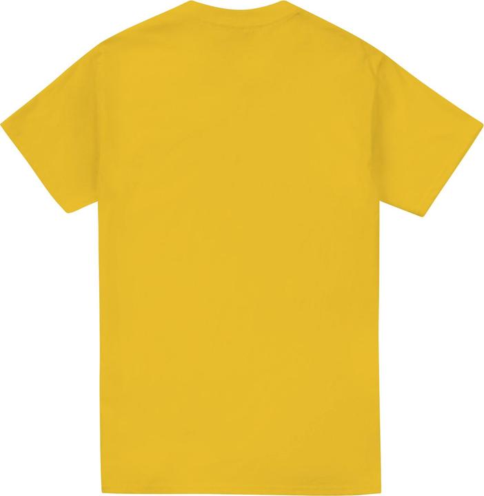 Actual product image Batman Mens Slime Logo T-Shirt (XXL)
