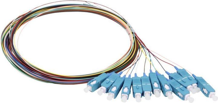 Actual product image Synergy 21 Fibre optic pigtail SC 9/125u, 2mtr OS2, 12-pack, coloured, G657.A2 (UTP, CAT6, 2 m)