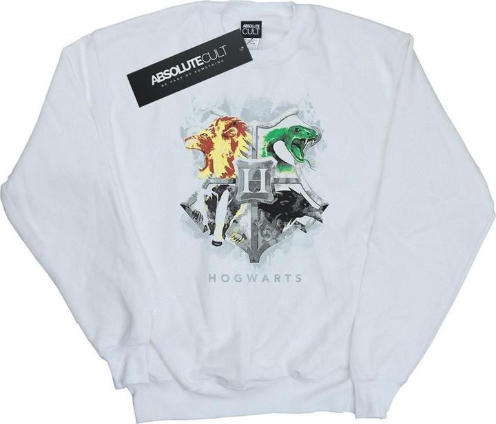 Image du produit - Sweat HOGWARTS PAINTED CREST - Garçon (152, 158)