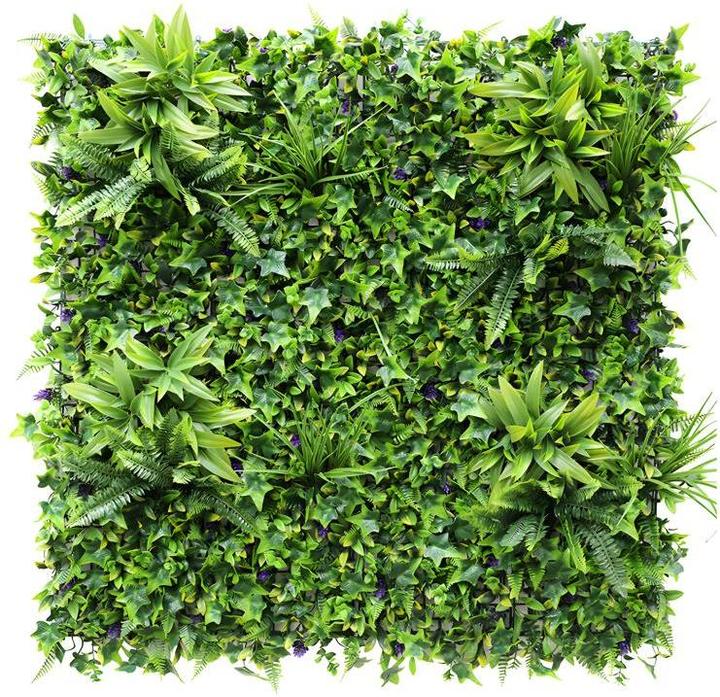 Image du produit Vente-unique Matcha