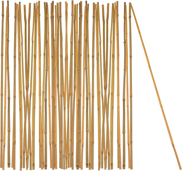 Actual product image BigDean Bambus-Pflanzenstab Rankhilfe (50 Stück) (105 cm, 1 cm)