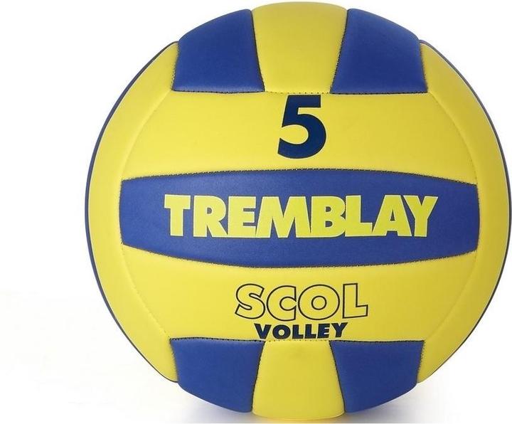 Hasbro Tremblay Volleyball