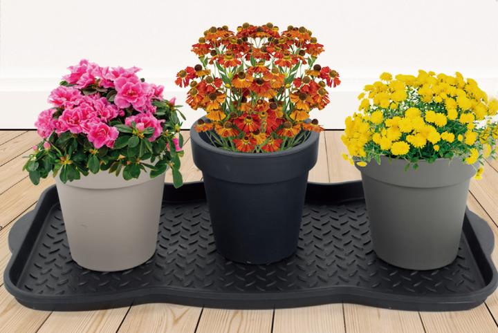 Produktbild Astra Shoe-Star (39 x 76.5 cm)