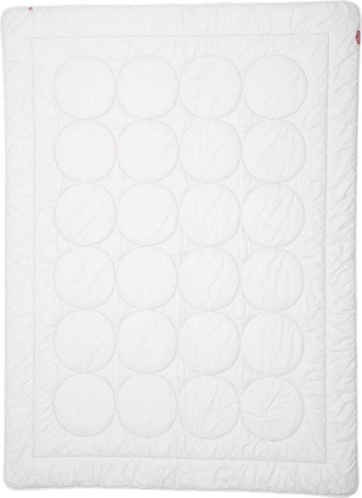 Image du produit Zizzz Laine de couette toute l'année (Swisswool) (870 g, 150 x 200 cm)