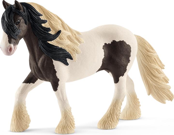 Image du produit Schleich Tinker Mâle