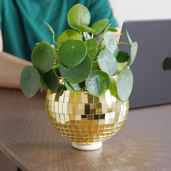 Image du produit Bubblegum Discokugel Pflanzentopf zum aufhängen Gold