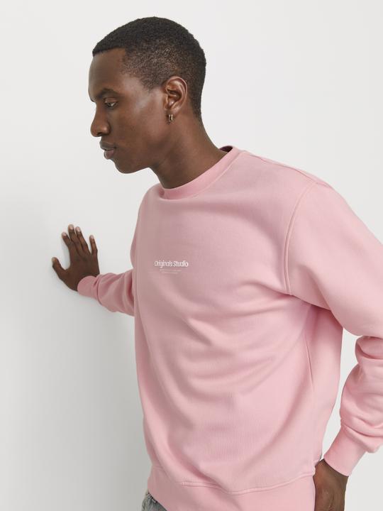 Immagine prodotto Jack & Jones Jorvesterbro Sweat Crew Neck Noos (L)