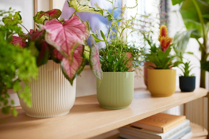 Produktbild Elho Vibes Fold (18.35 cm)