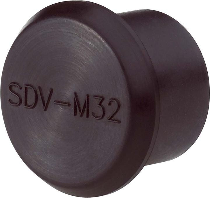 Actual product image Lapp SKINTOP SDV-M 20 ATEX screw plug