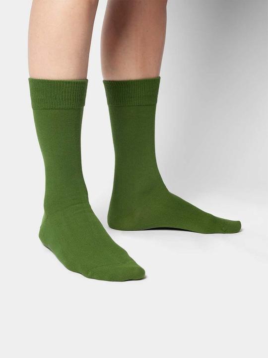 DillySocks D-Compose