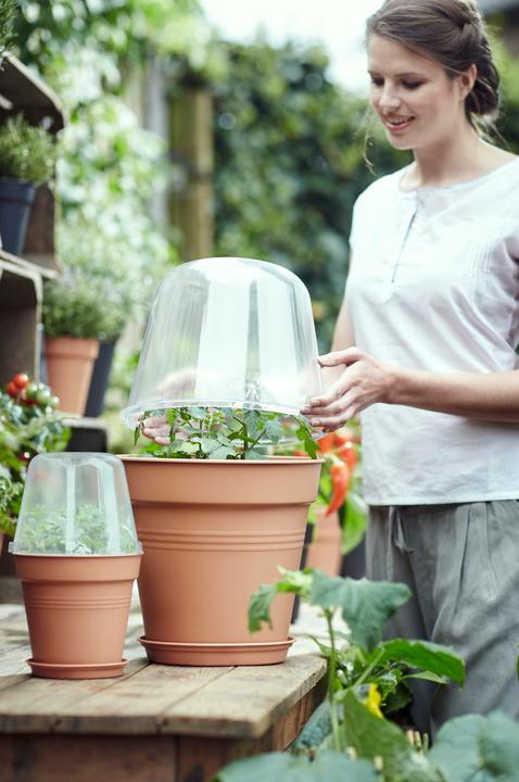 Actual product image Elho Growing House