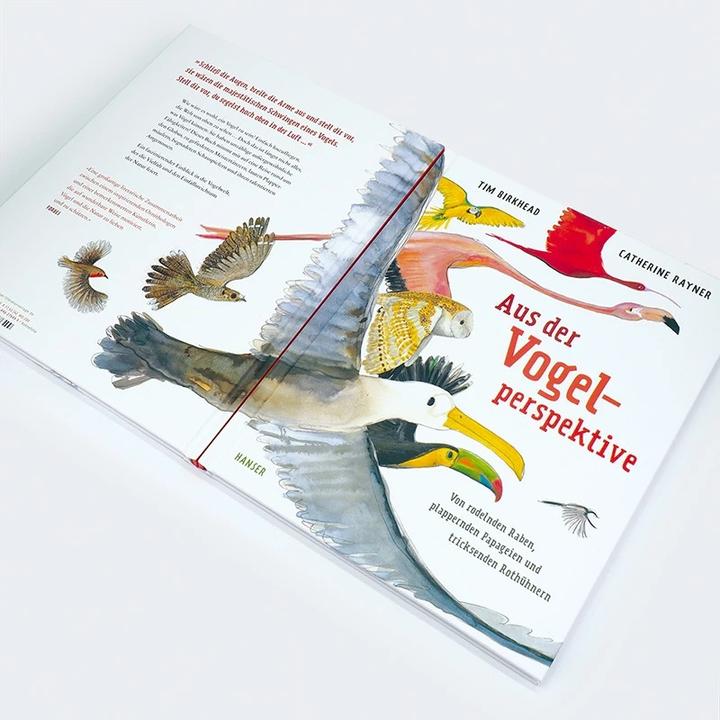 Actual product image Aus der Vogelperspektive (German, Tim Birkhead, Catherine Rayner, Rita Gravert, 2023)