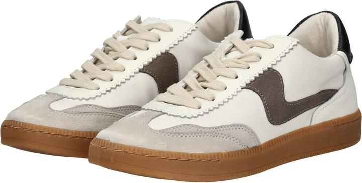 Immagine prodotto Dolce Vita Sneaker (37)
