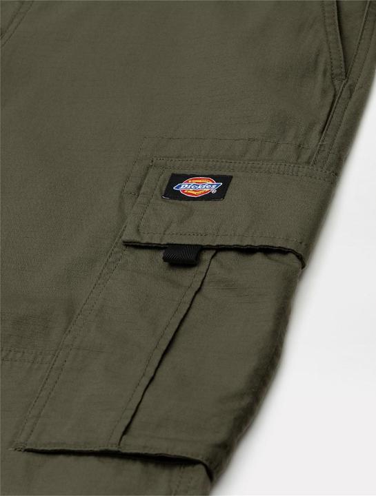 Actual product image Dickies Eagle Bend (30)