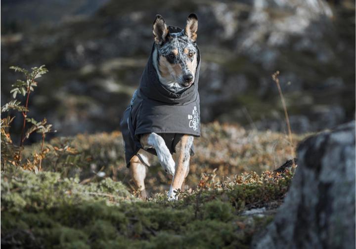 Actual product image Hurtta Winter Coat Extreme Warmer 2 (65, L, Dog coat)