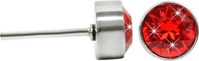 Levien Playful Steel Stud Earrings with Light Siam Chaton