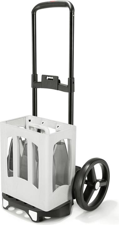 Actual product image reisenthel Citycruiser Rack