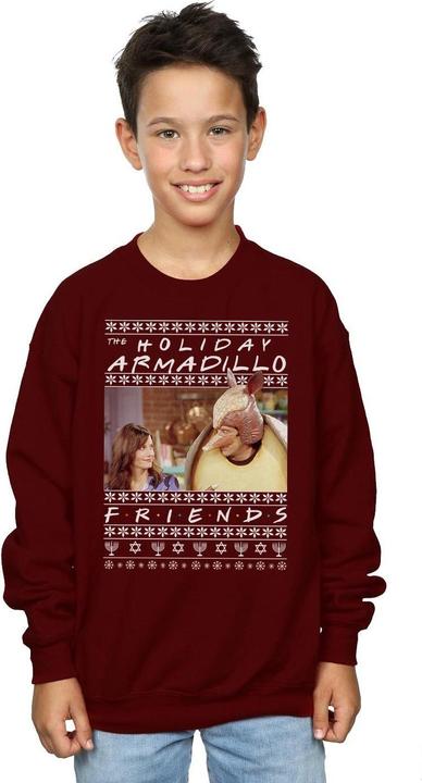 Image du produit Friends - Sweat FAIR ISLE HOLIDAY ARMADILLO - Garçon (140, 146)